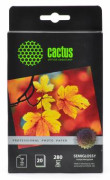 Фотобумага Cactus Prof CS-SGA628020 10x15/280г/м2/20л./белый полуглянцевое для струйной печати